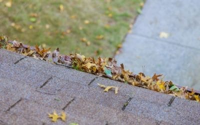 Exterior Maintenance