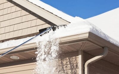 Mid-Winter Best Practices